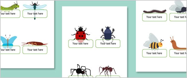 Minibeast Self-Registration