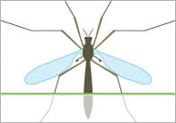 Minibeast Self-Registration