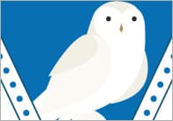 Polar Animals Bunting