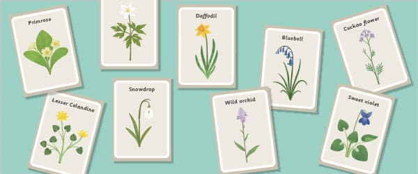Spring Flower Cards