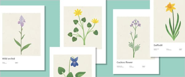 Spring Flower / Botanical Posters