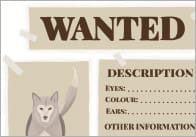 Wolf Wanted Poster For Traditional Tales
